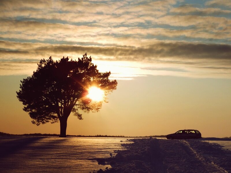 Solo Tree on Frozen Lake