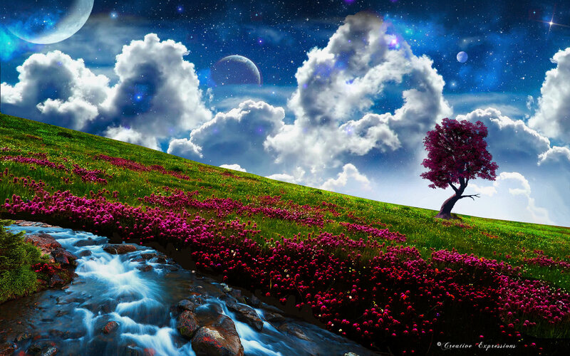 Solo Tree on Hillside