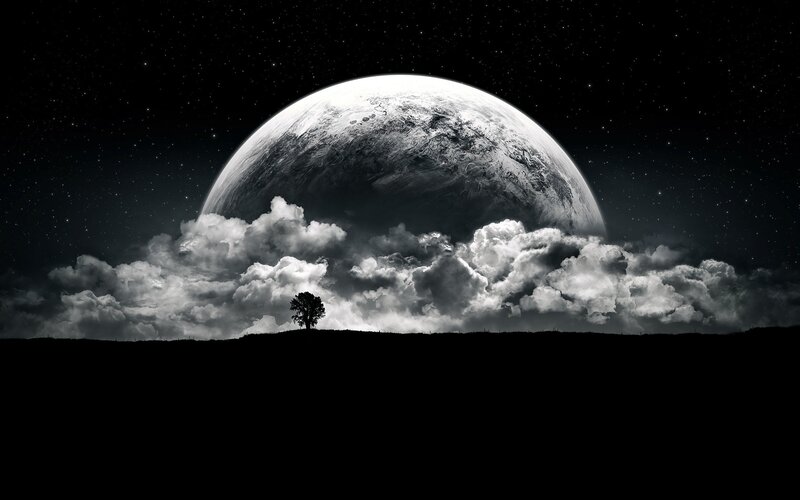 solo tree under alien moon