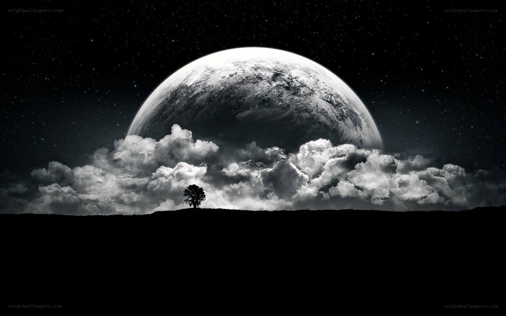 solo tree under alien moon