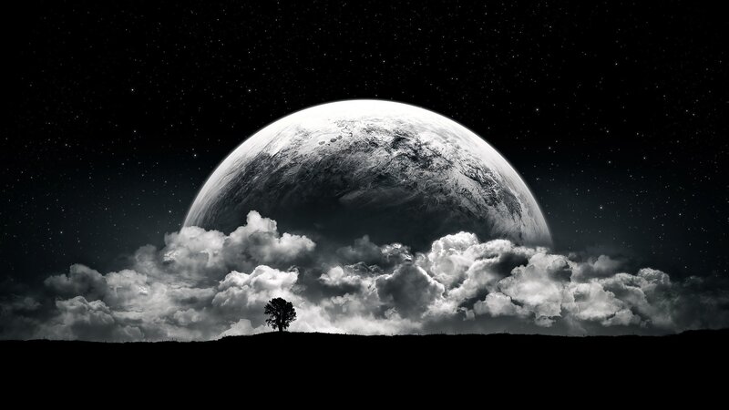 solo tree under alien moon