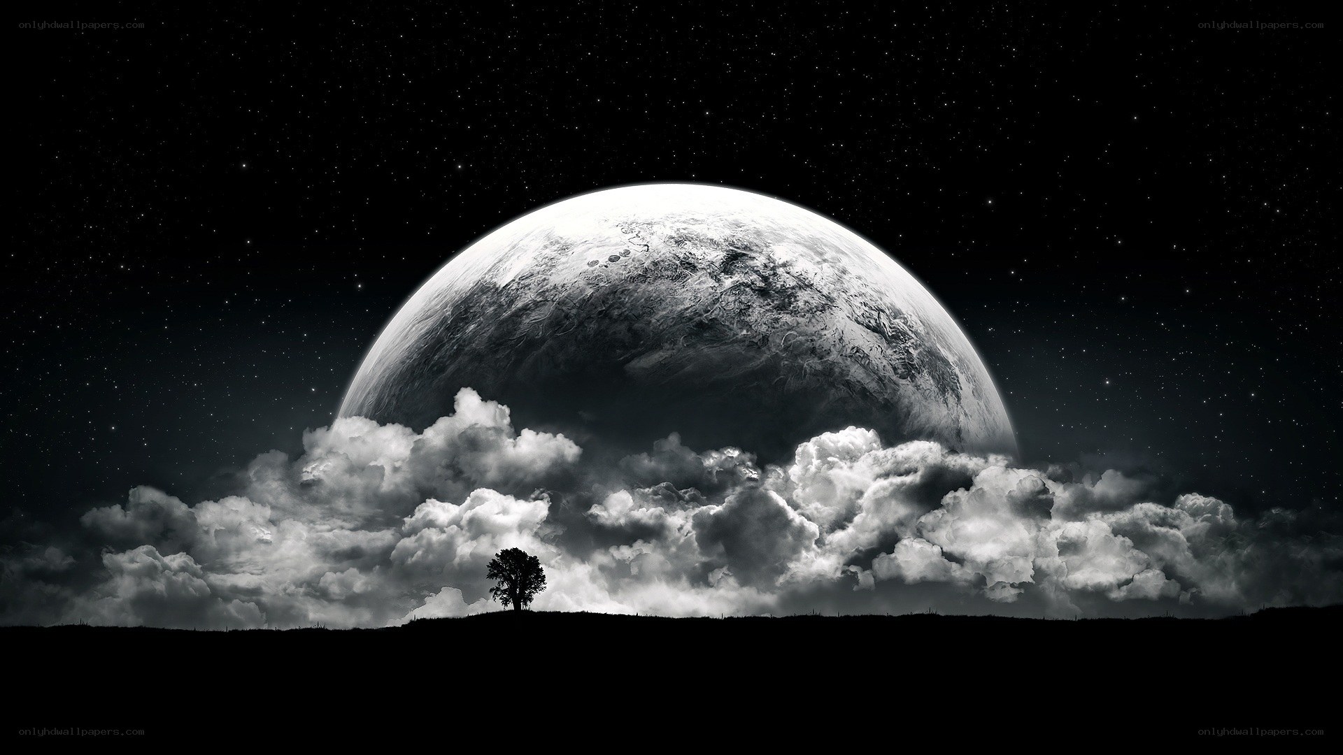 solo tree under alien moon