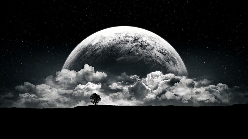 solo tree under alien moon