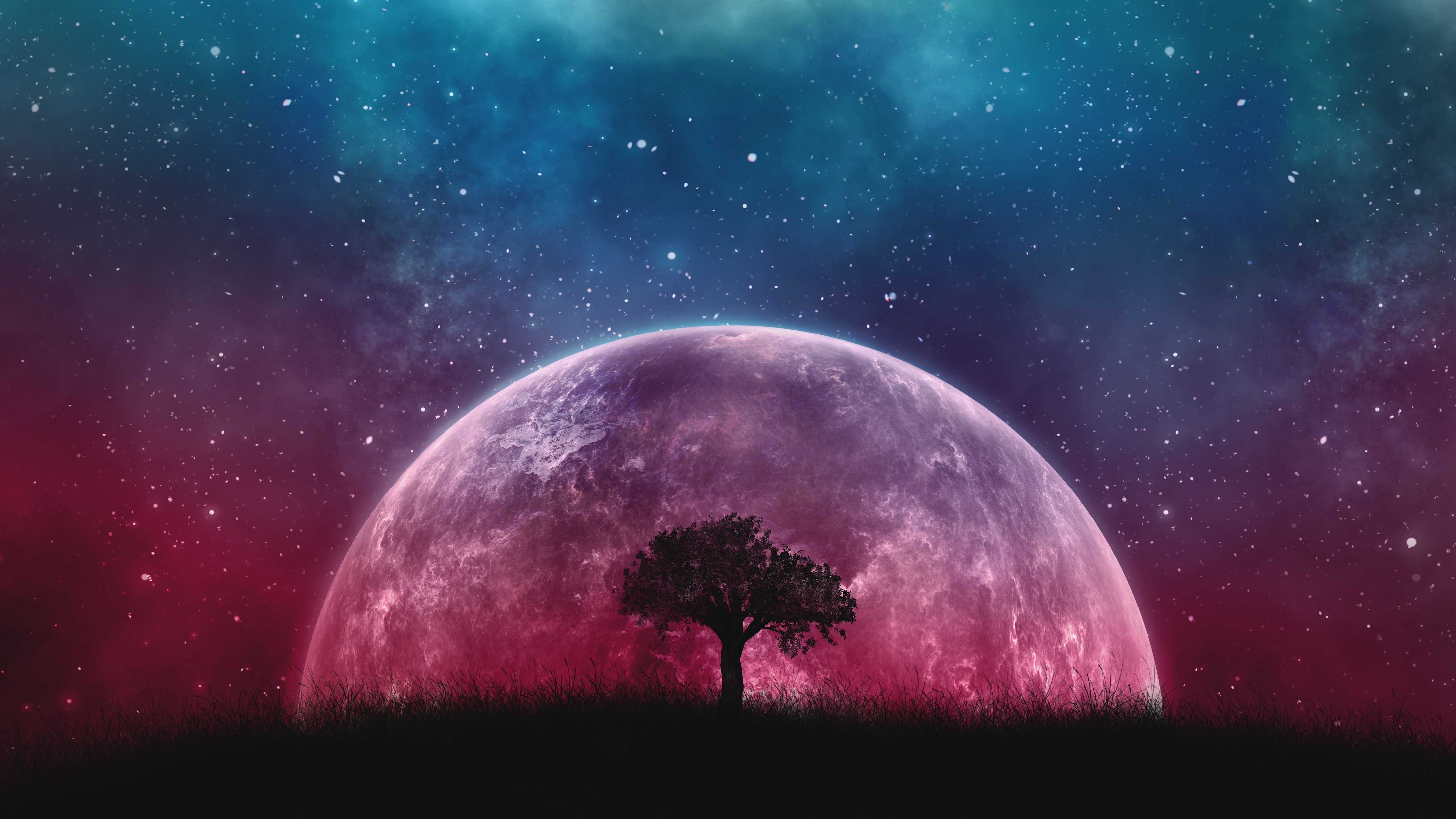solo tree under alien moon