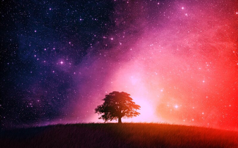 solo tree under starry sky