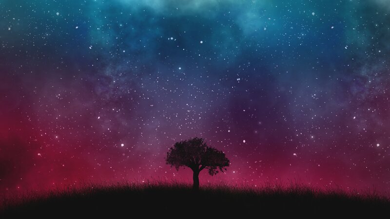 solo tree under starry sky