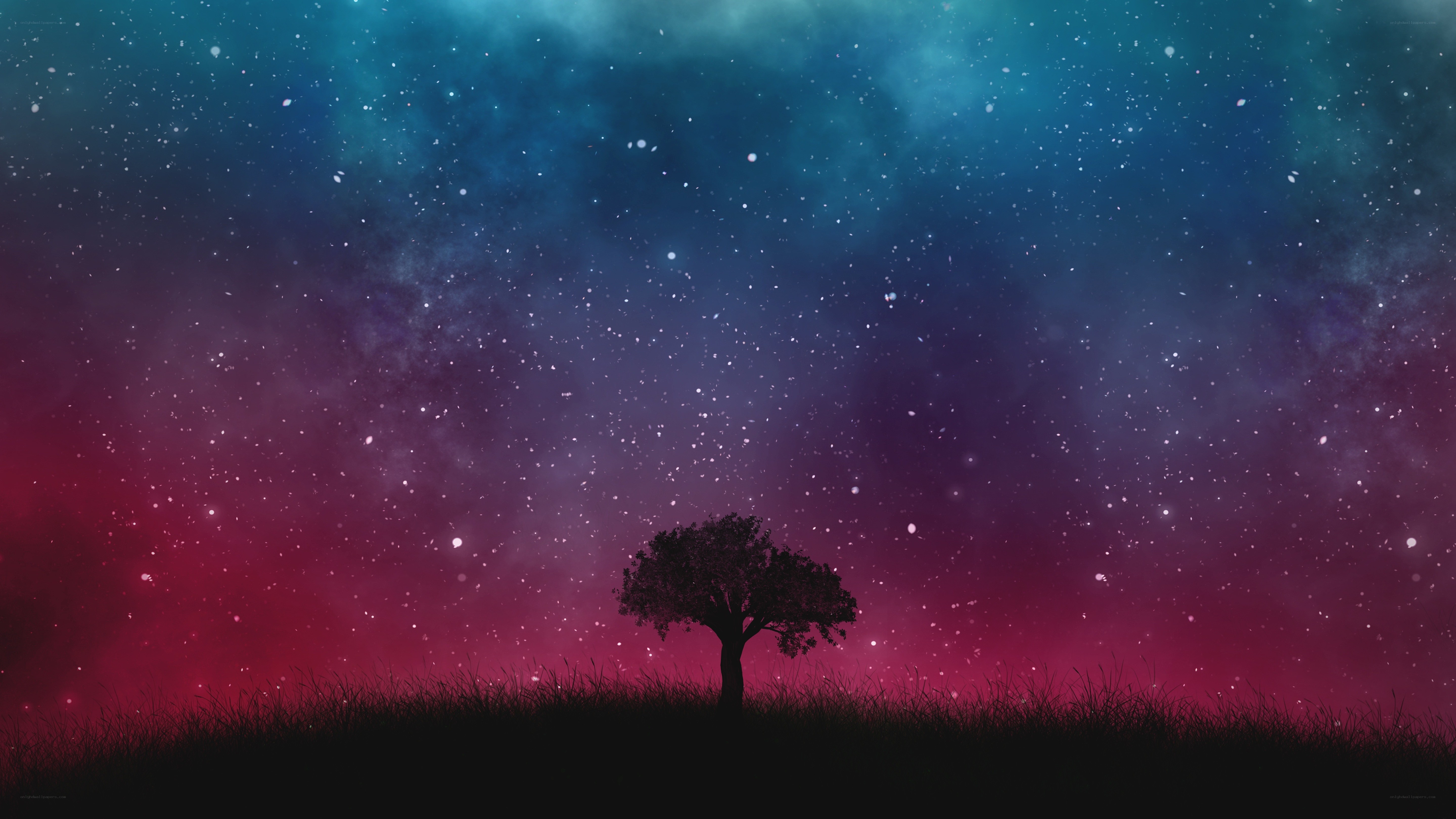 solo tree under starry sky