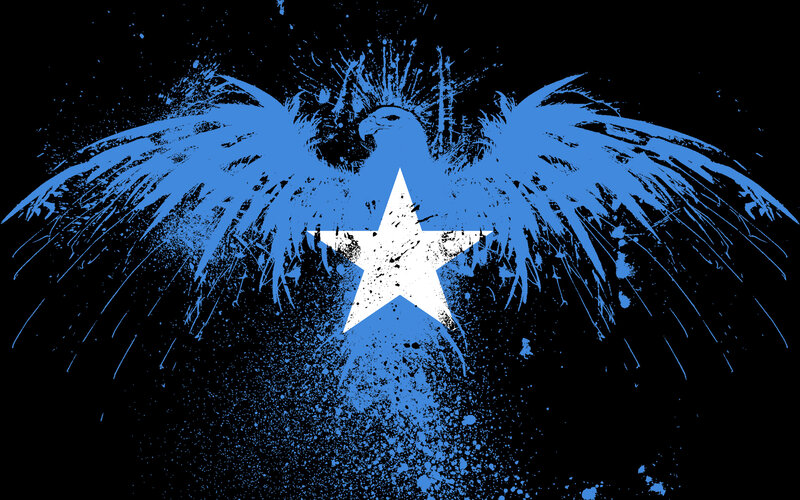 Somali flag with eagle design