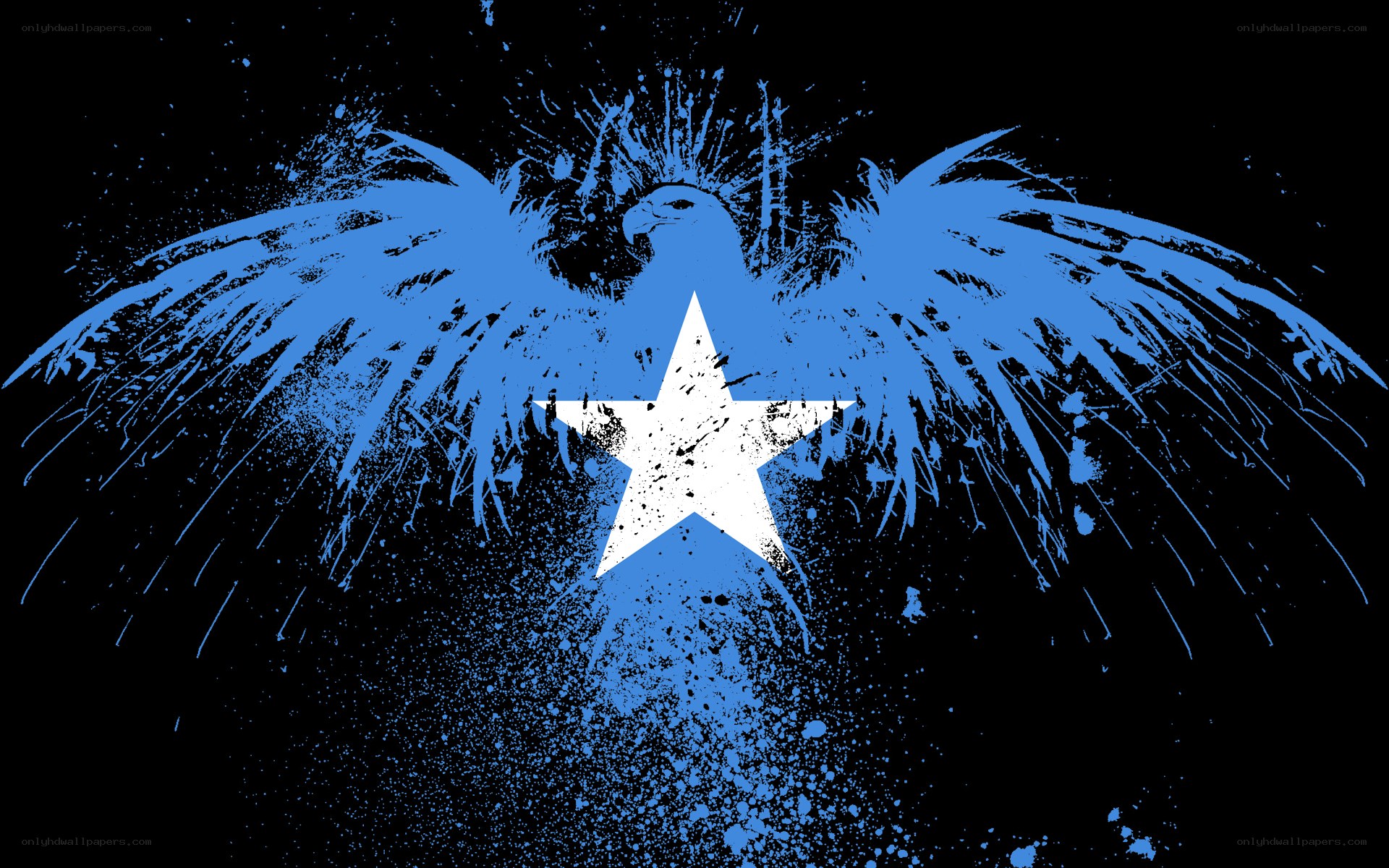 Somali flag with eagle design