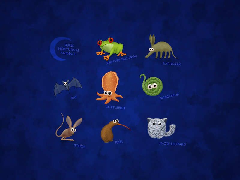 Some nocturnal animals