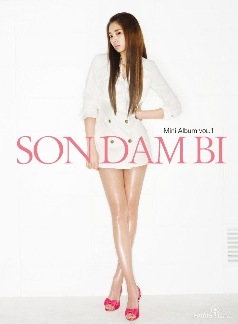 Son Dam Bi Mini Album