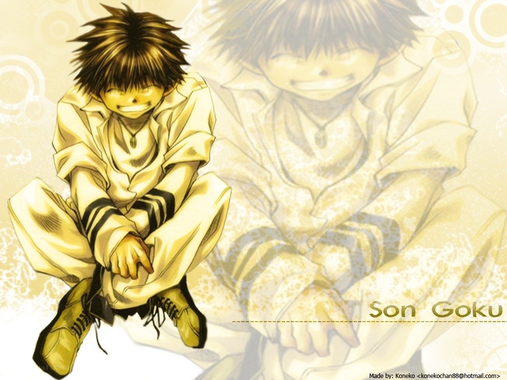 Son Goku character art