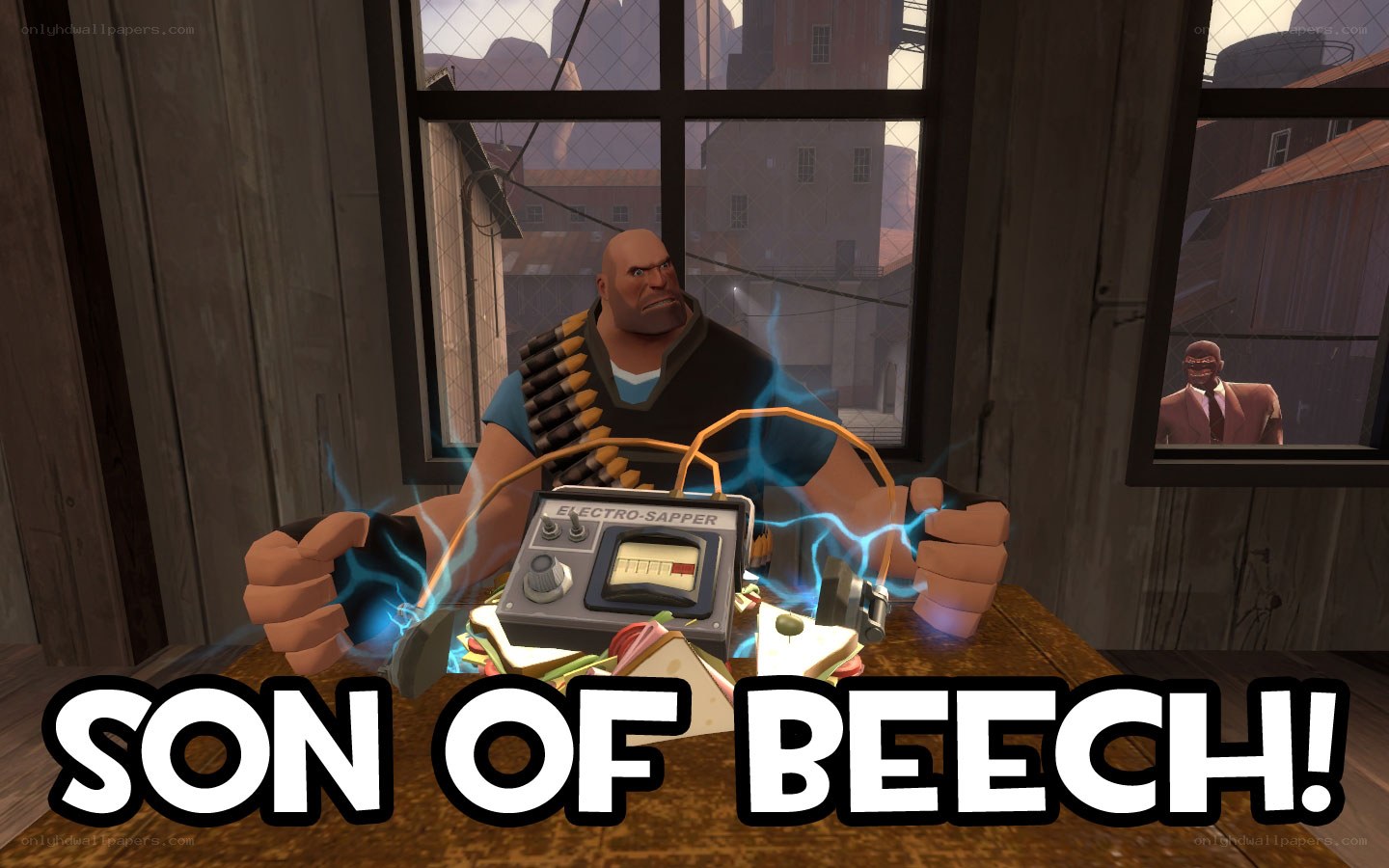 Son of Beech!