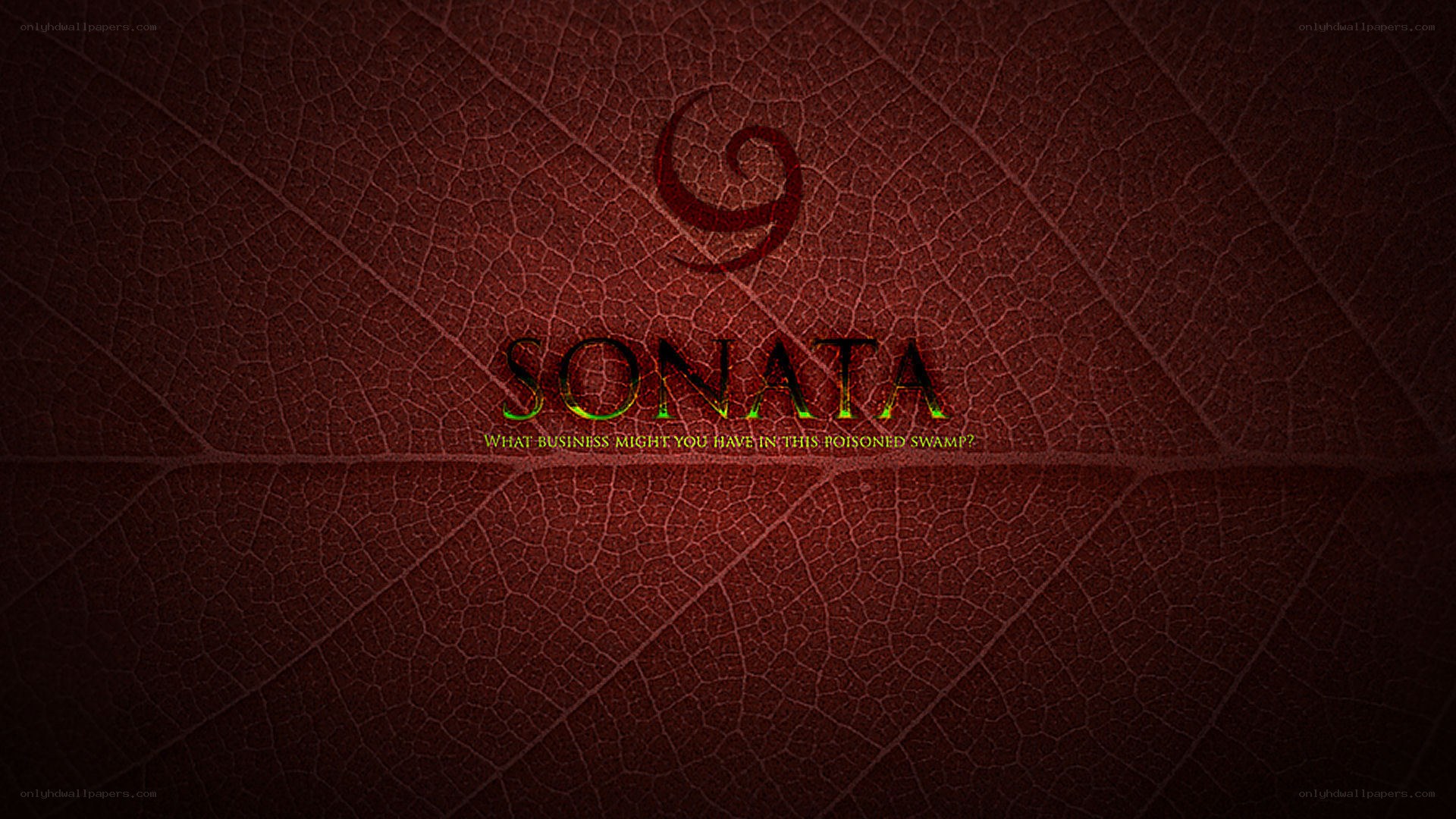 Sonata logo on leaf background
