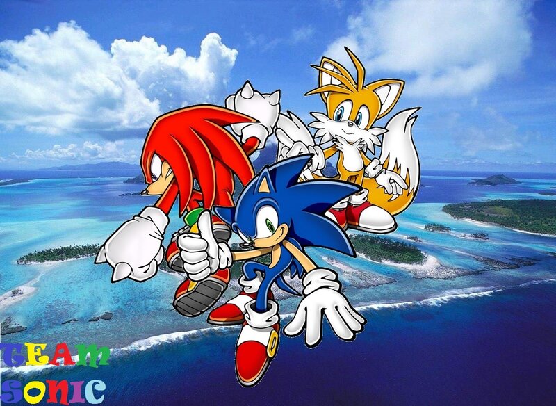 Sonic and Friends Flying