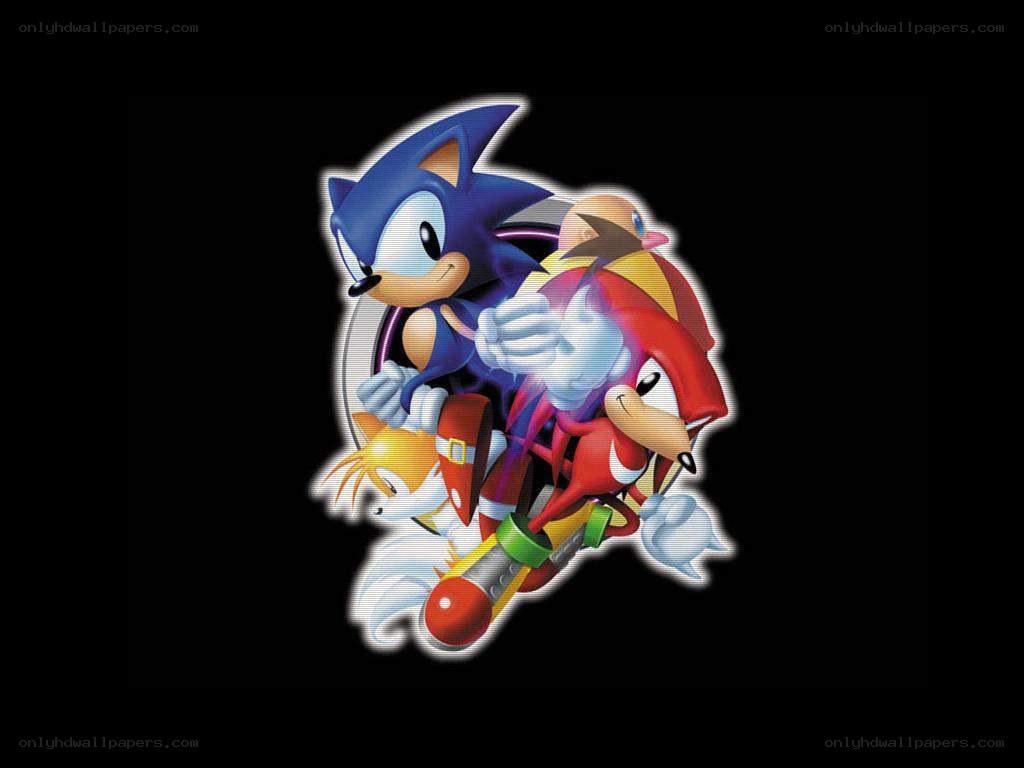 Sonic and friends in action