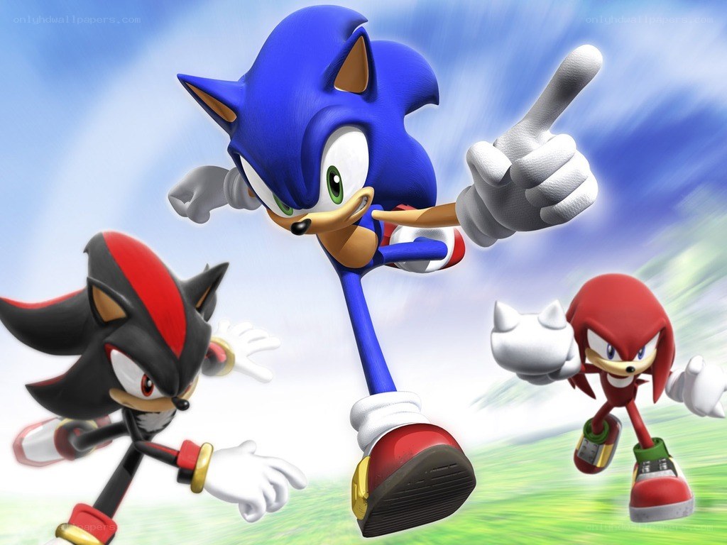 Sonic and friends in action