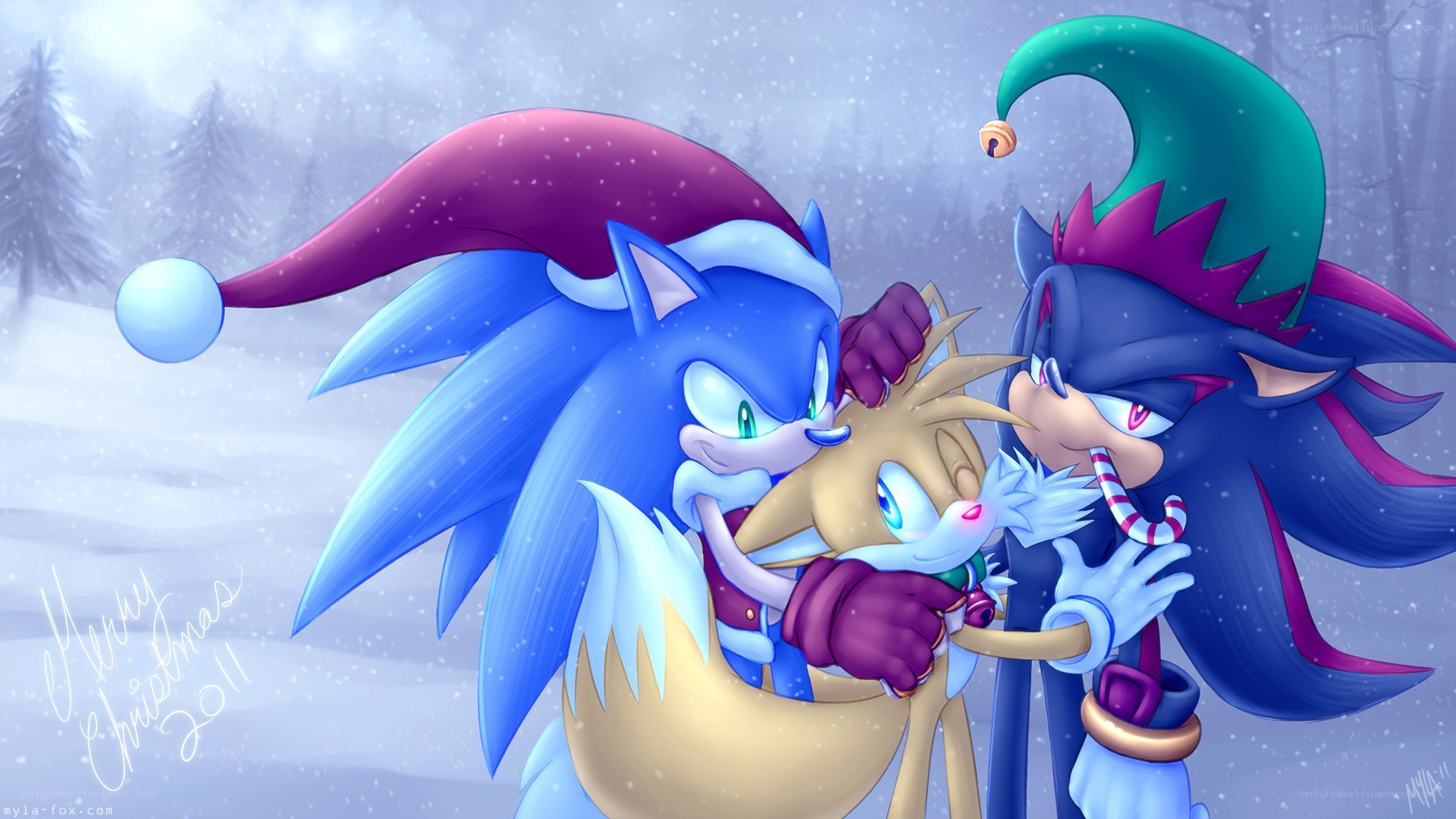 Sonic and friends in winter