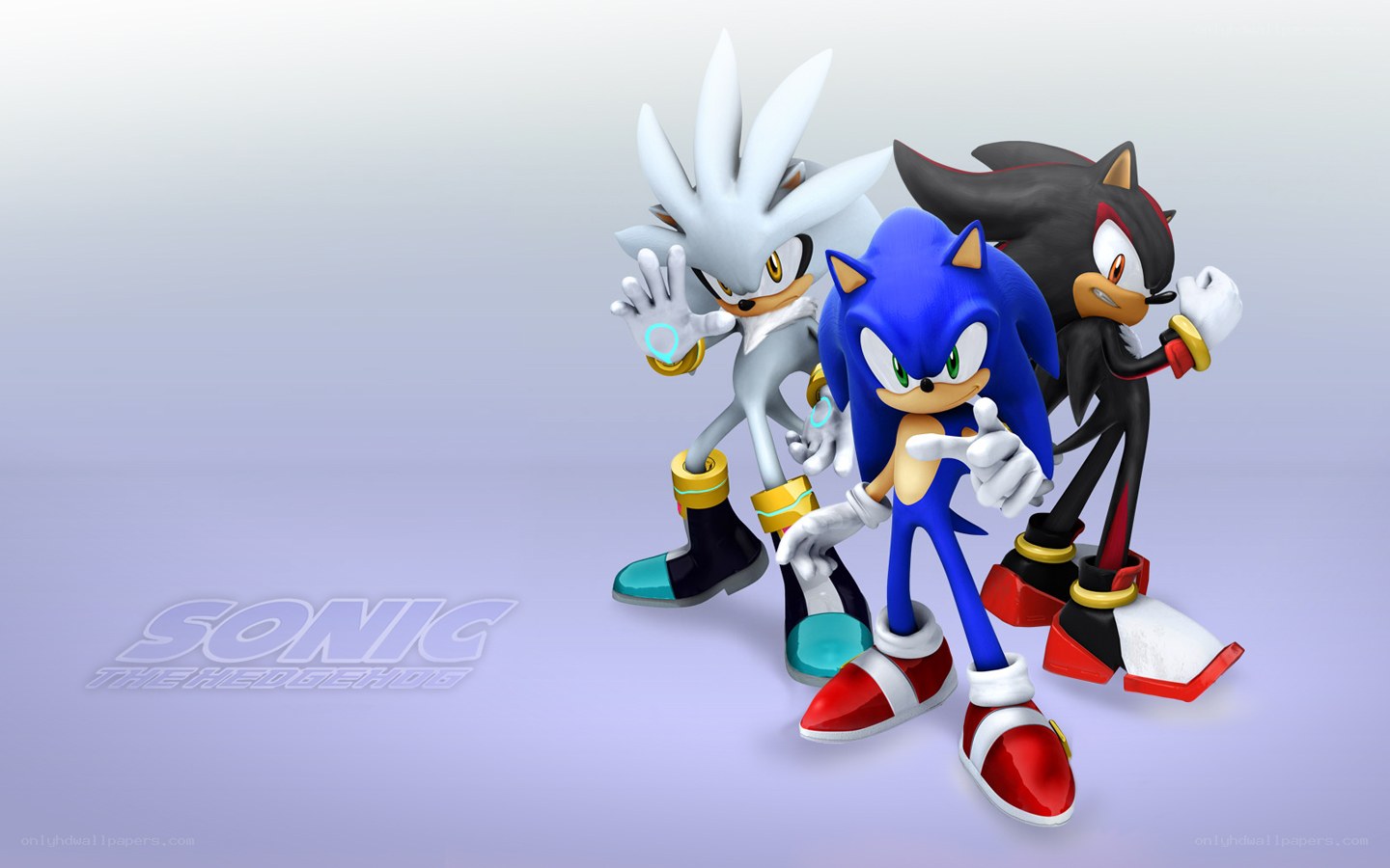 Sonic and his friends
