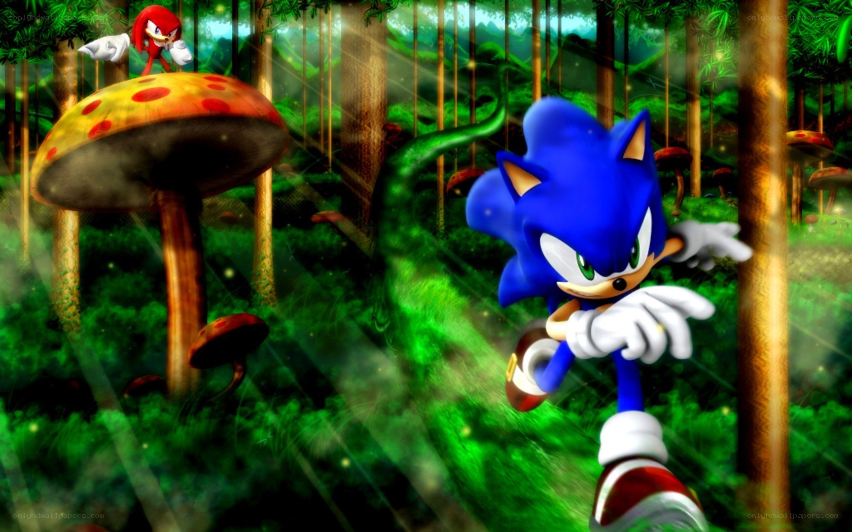 Sonic and Knuckles in a forest