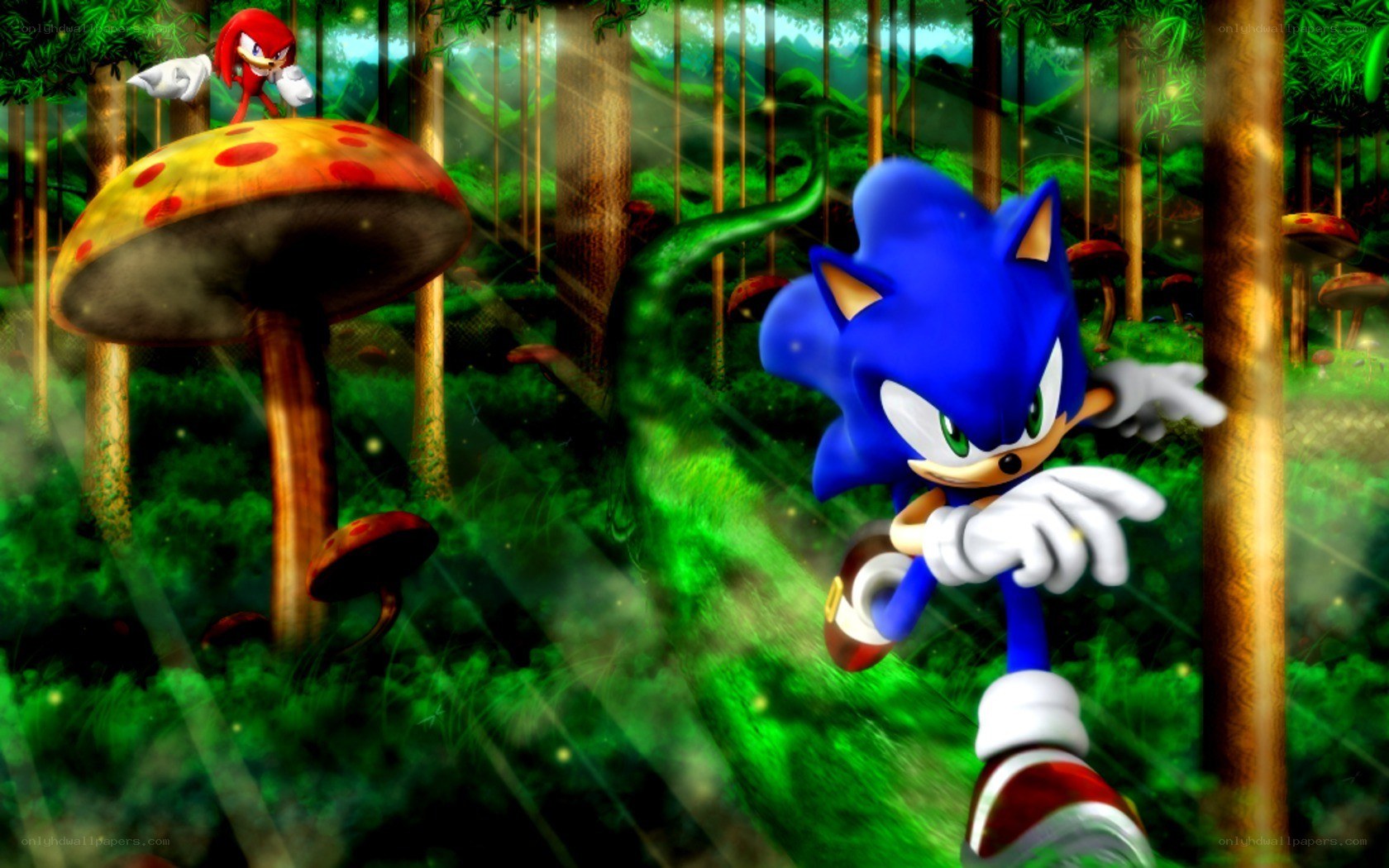 Sonic and Knuckles in a forest