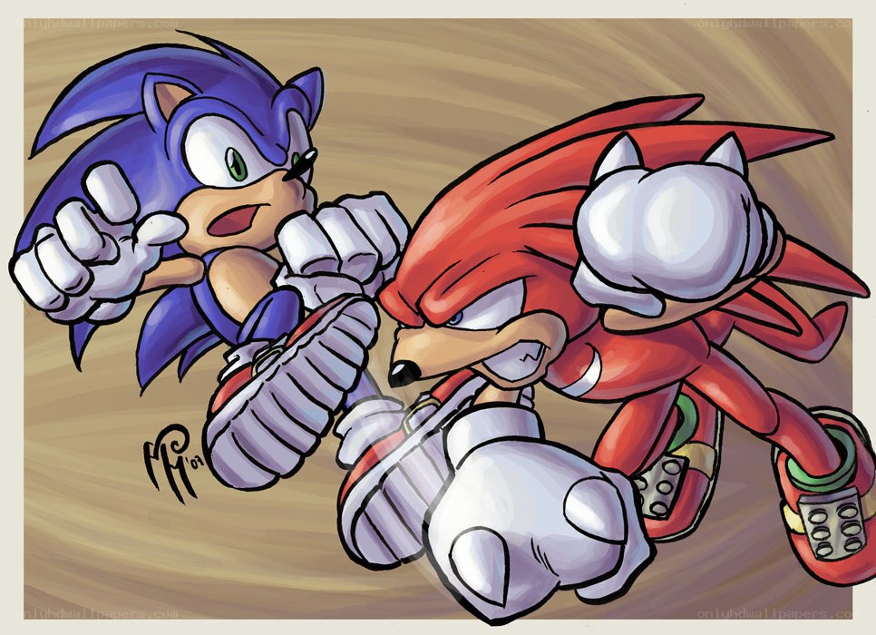 Sonic and Knuckles in combat