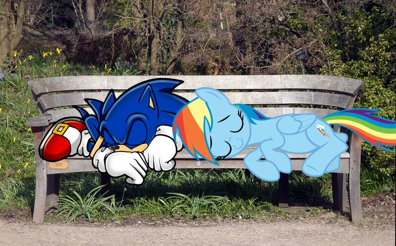 Sonic and Rainbow Dash Sleeping