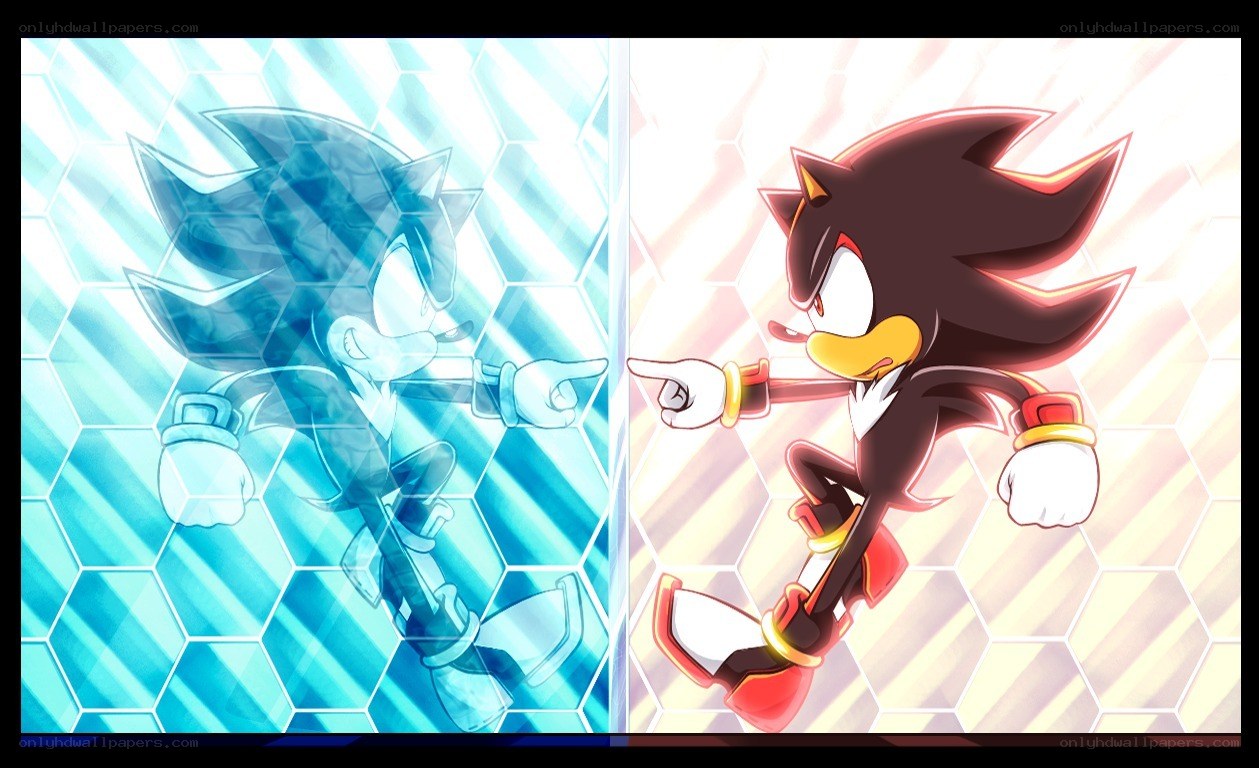 Sonic and Shadow characters