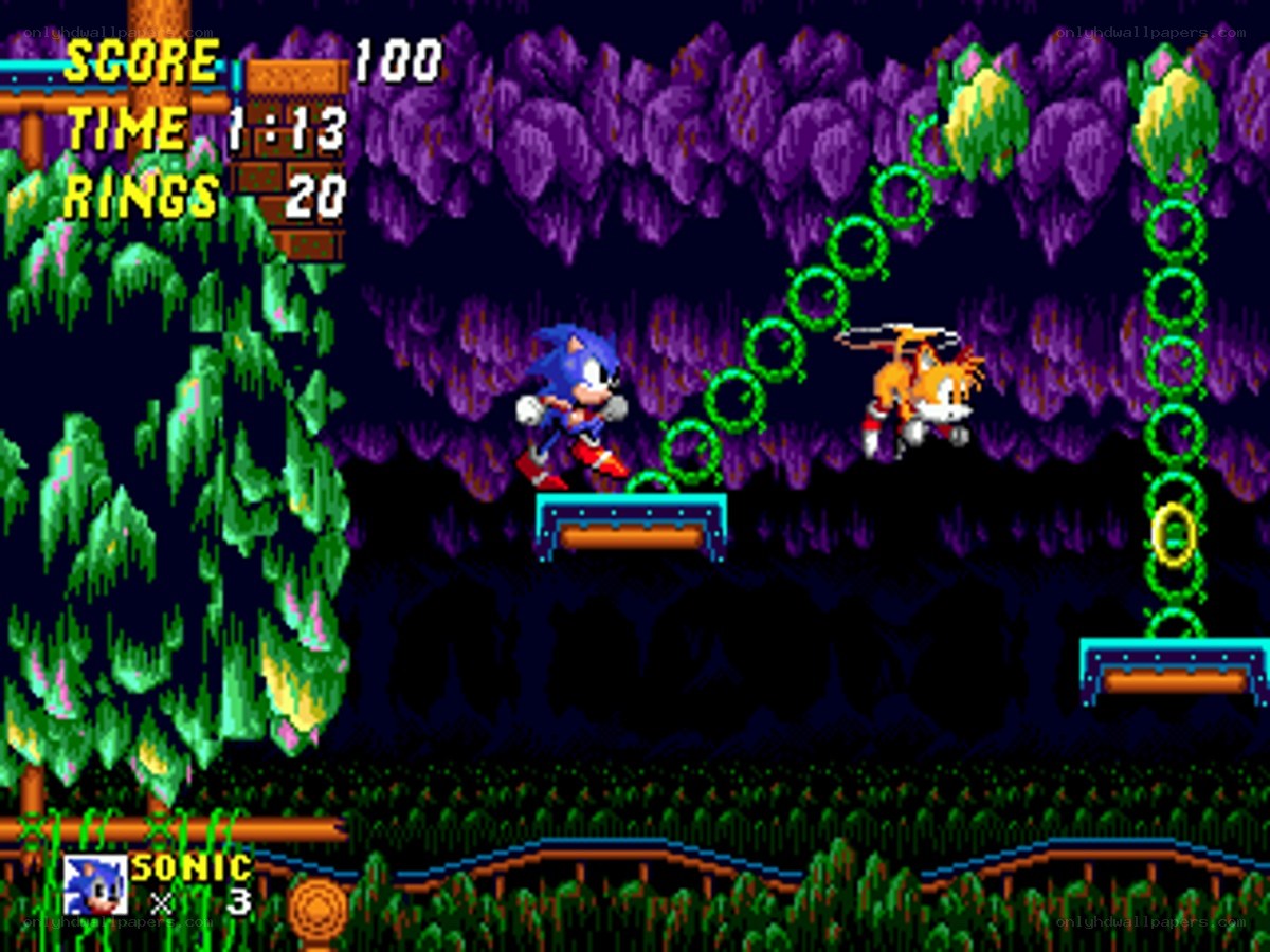 Sonic and Tails in a cave level