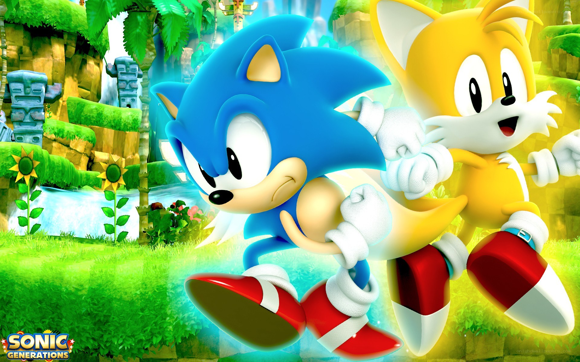 Sonic and Tails in jungle