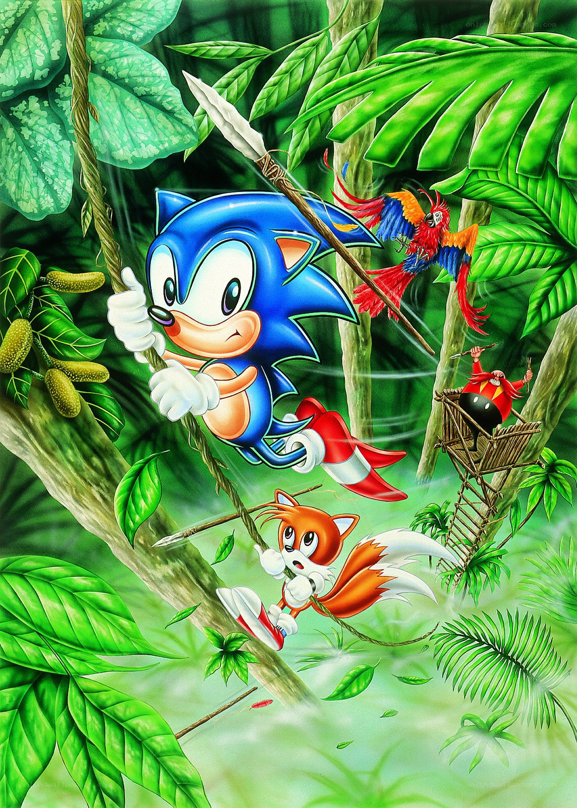 Sonic and Tails in the jungle