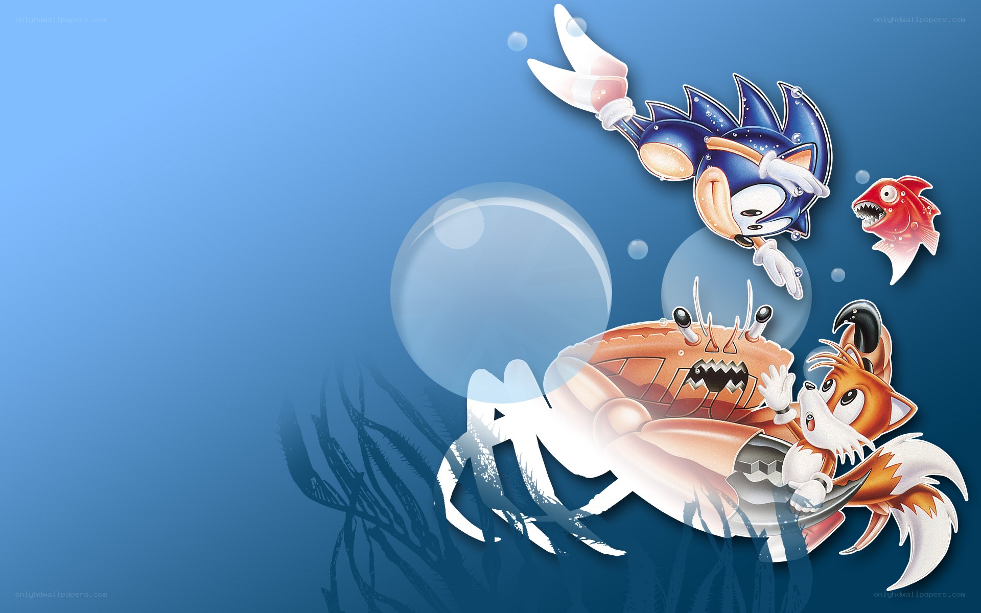 Sonic and Tails underwater adventure
