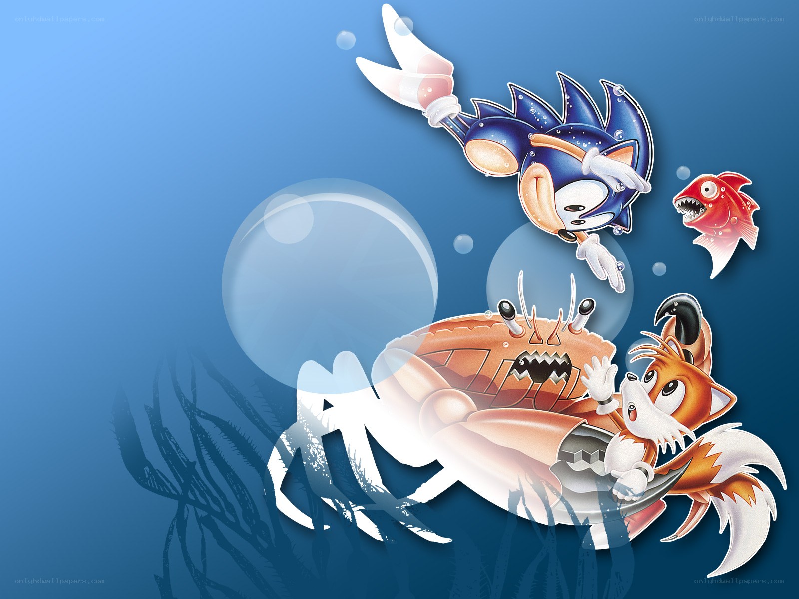 Sonic and Tails underwater adventure