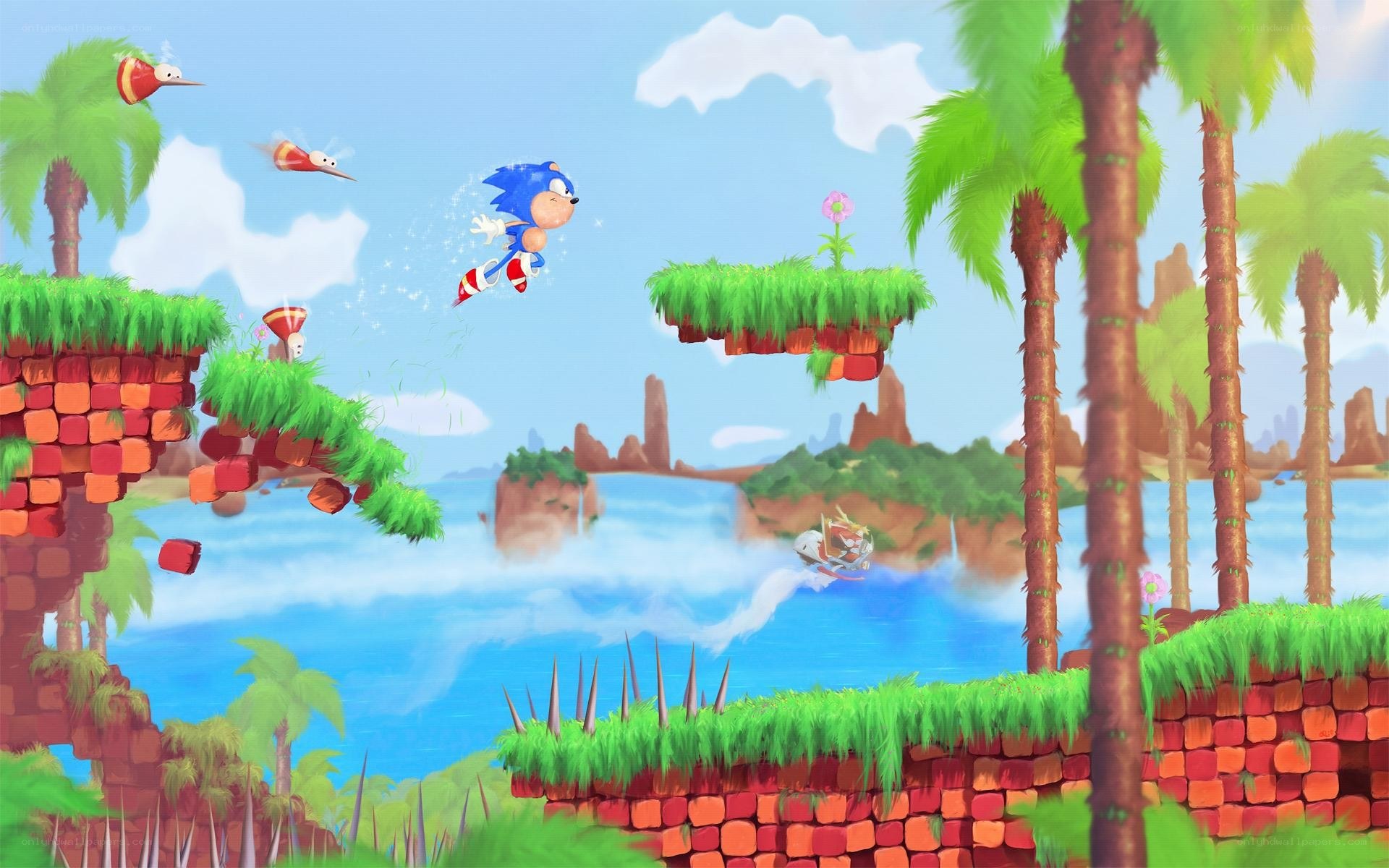 Sonic in tropical adventure