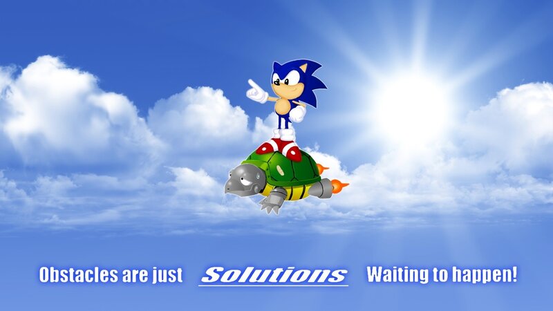 Sonic Riding a Turtle