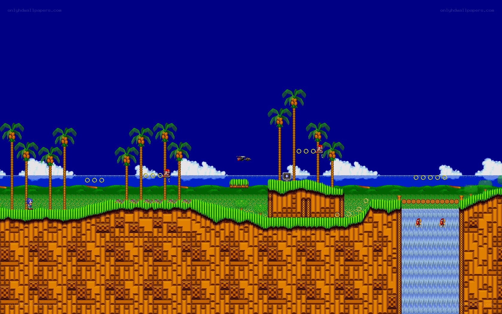 Sonic the Hedgehog gameplay