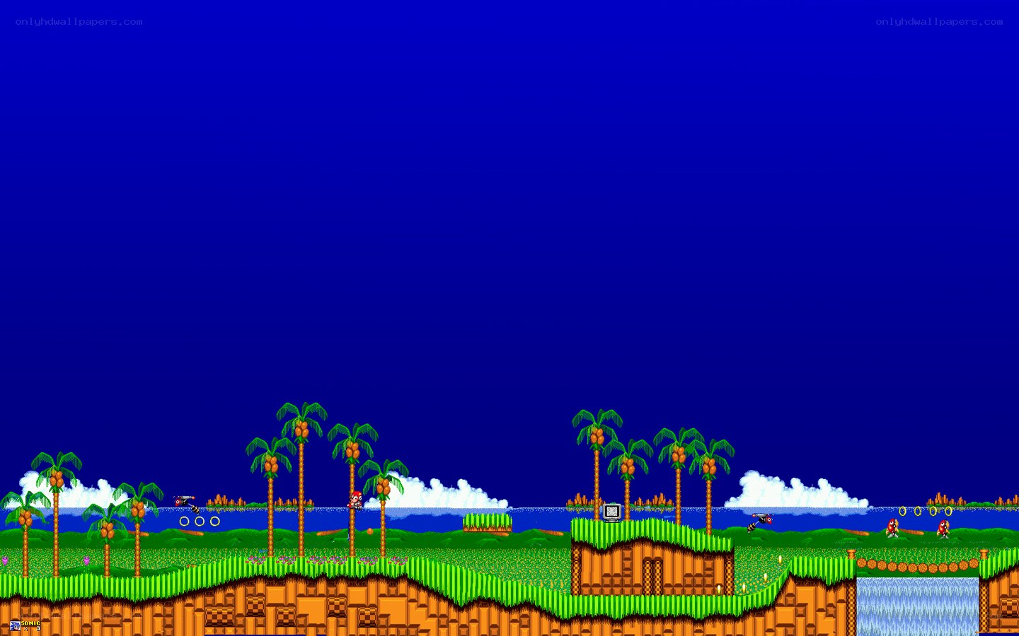 Sonic the Hedgehog gameplay
