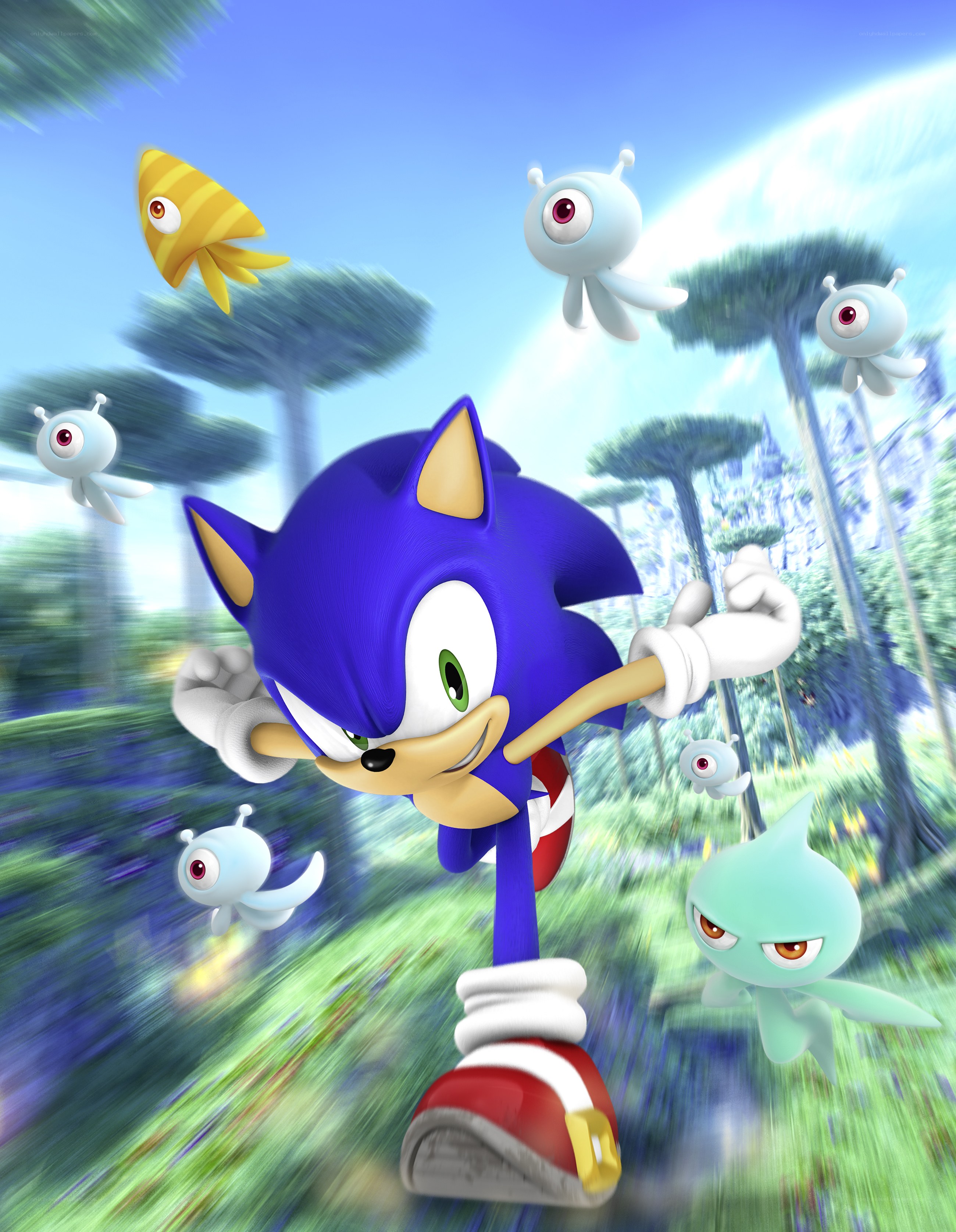 Sonic the Hedgehog in action