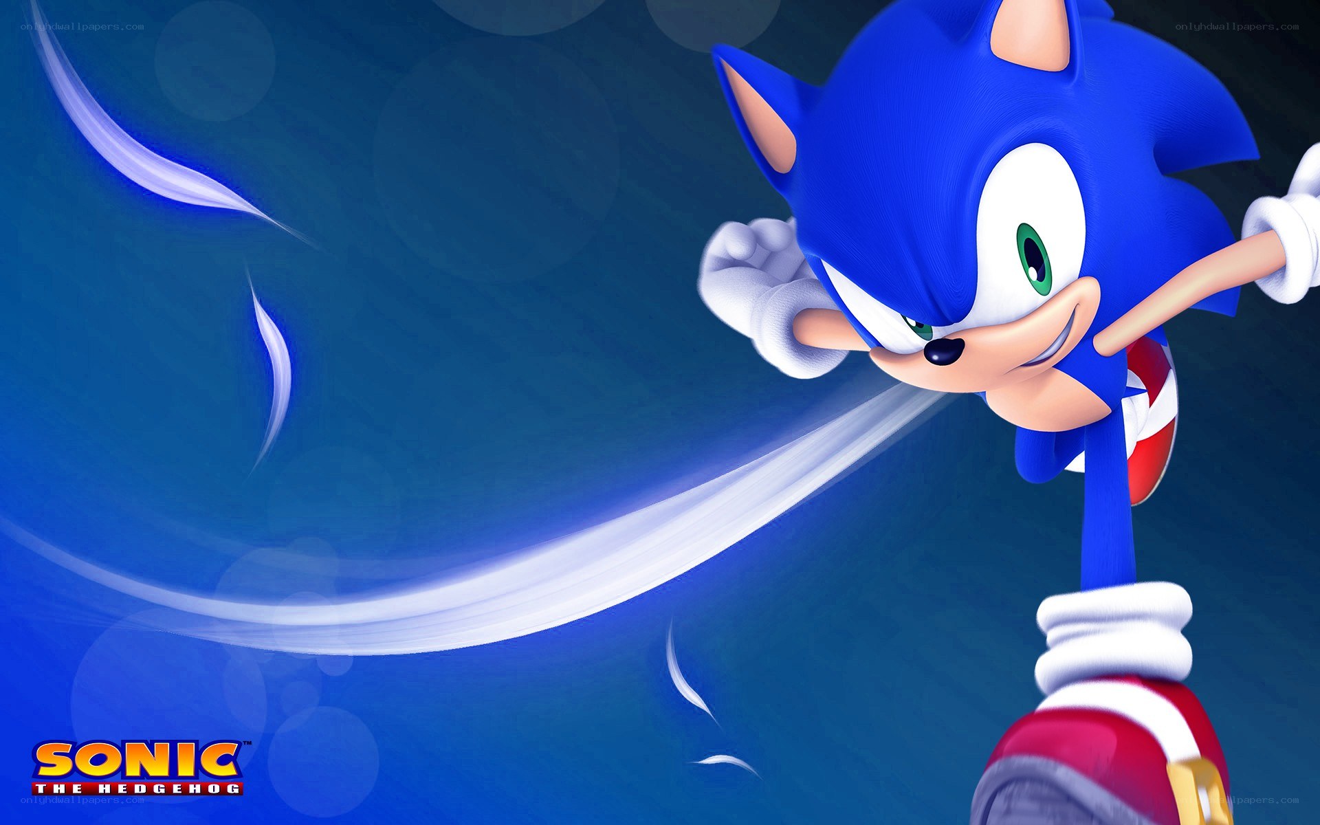 Sonic the Hedgehog in action