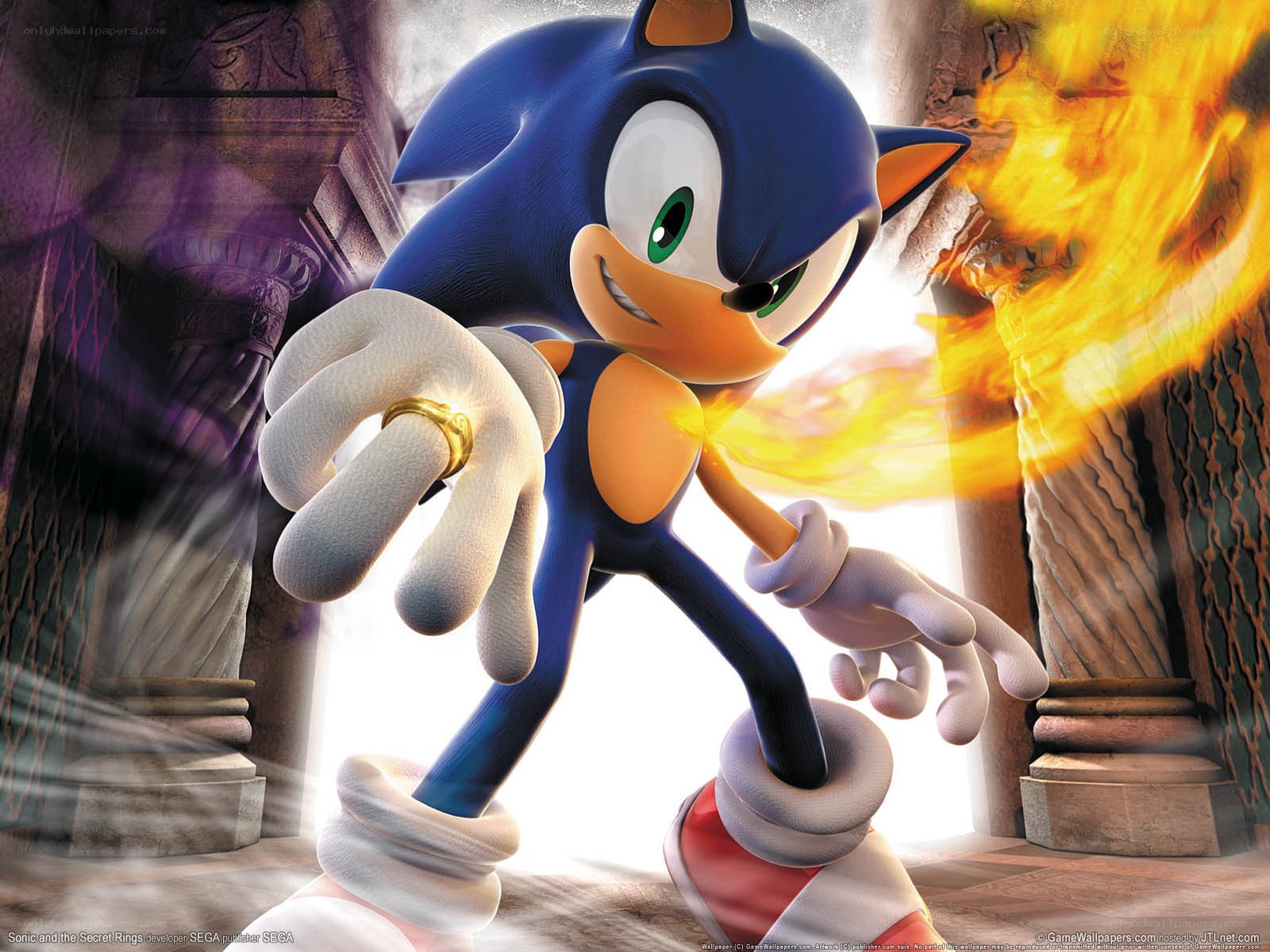 Sonic the Hedgehog in action