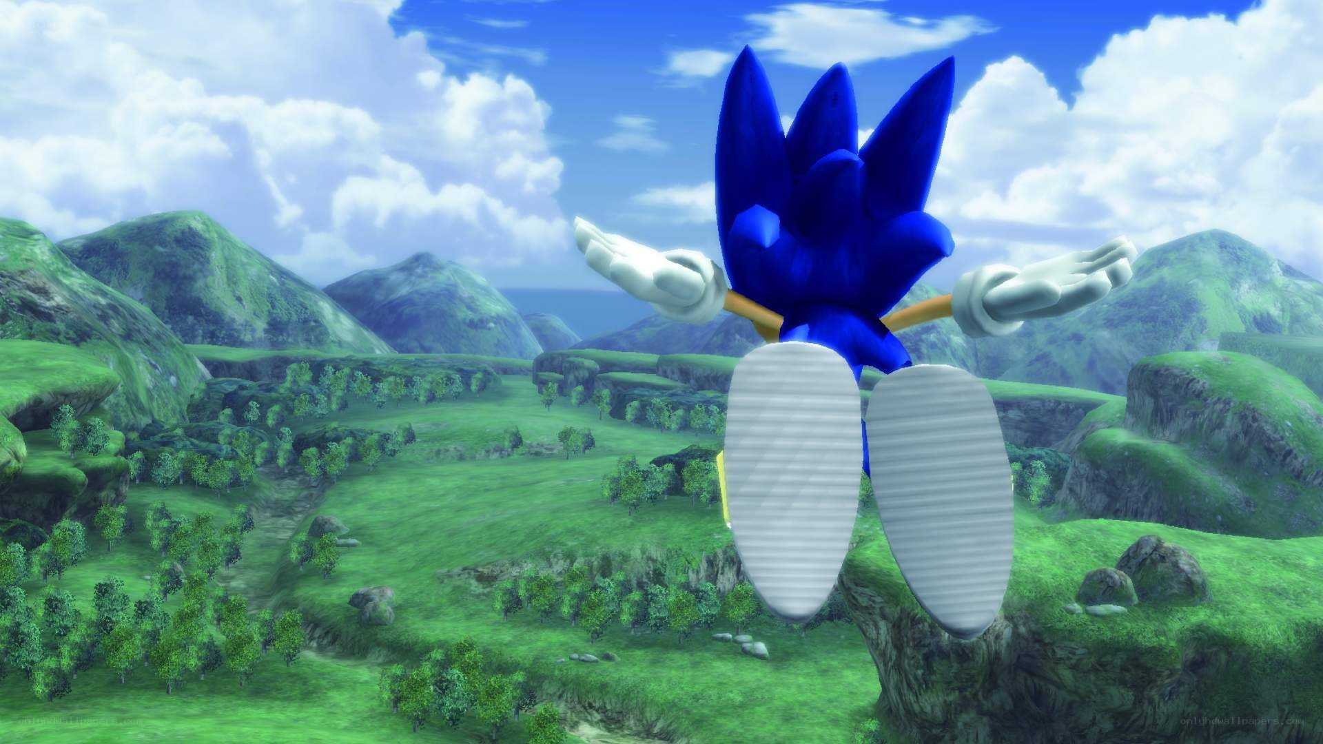 Sonic the Hedgehog in flight