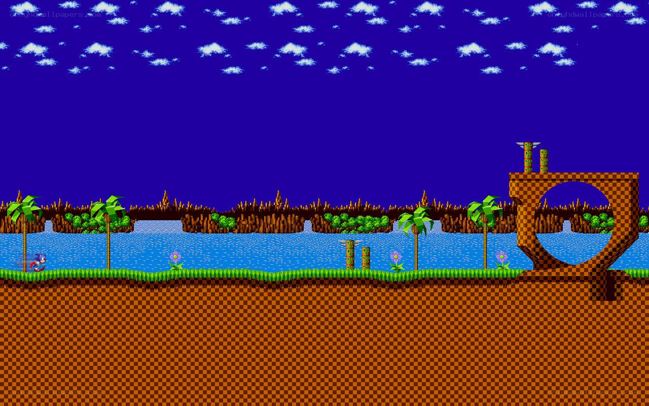 Sonic the Hedgehog level