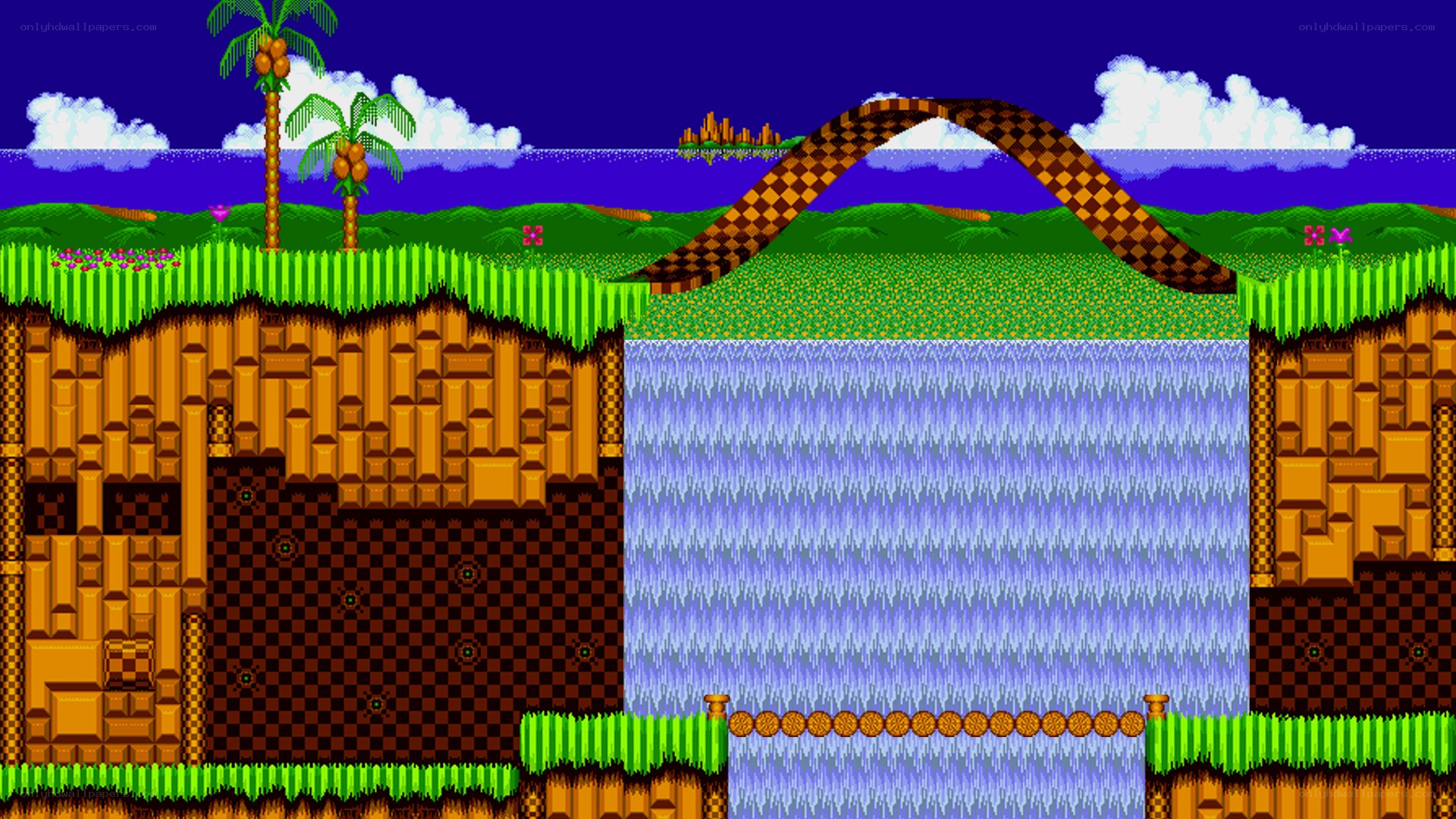 Sonic the Hedgehog level
