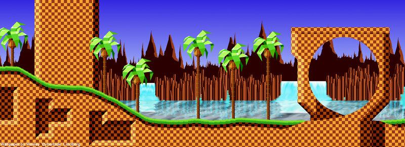 Sonic the Hedgehog level