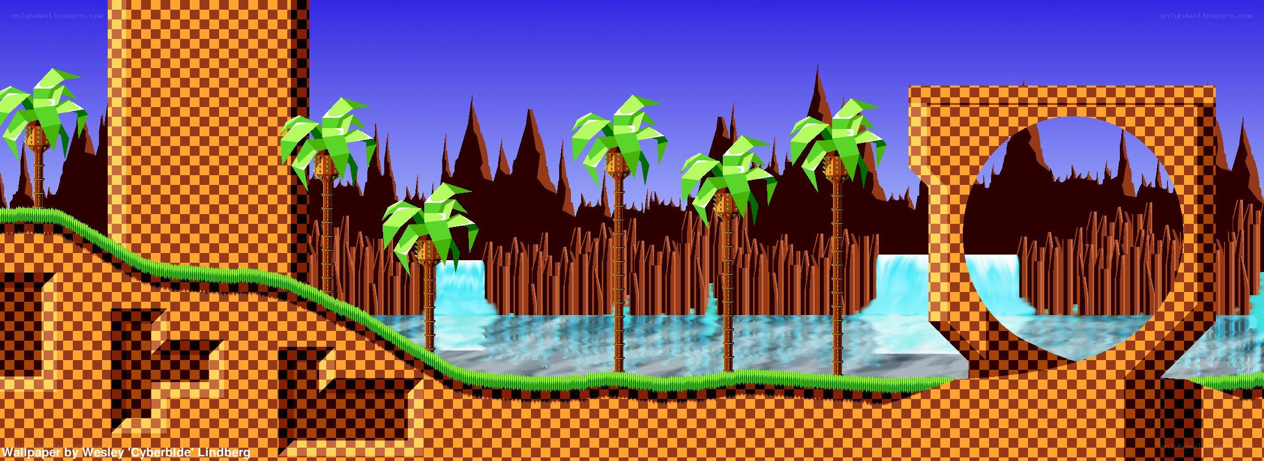 Sonic the Hedgehog level
