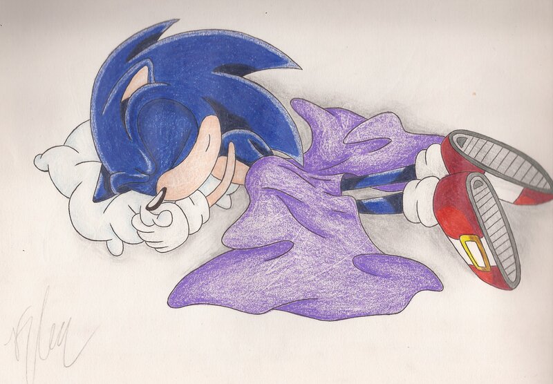 Sonic the Hedgehog Sleeping