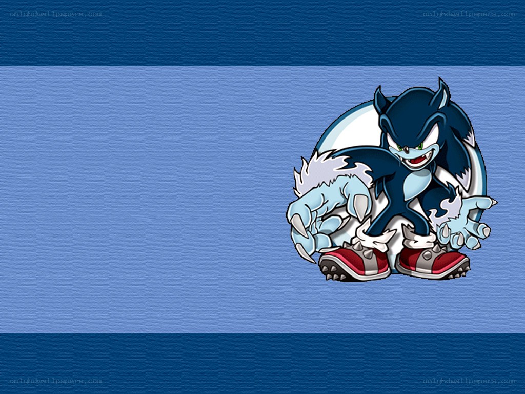 Sonic the Werehog character