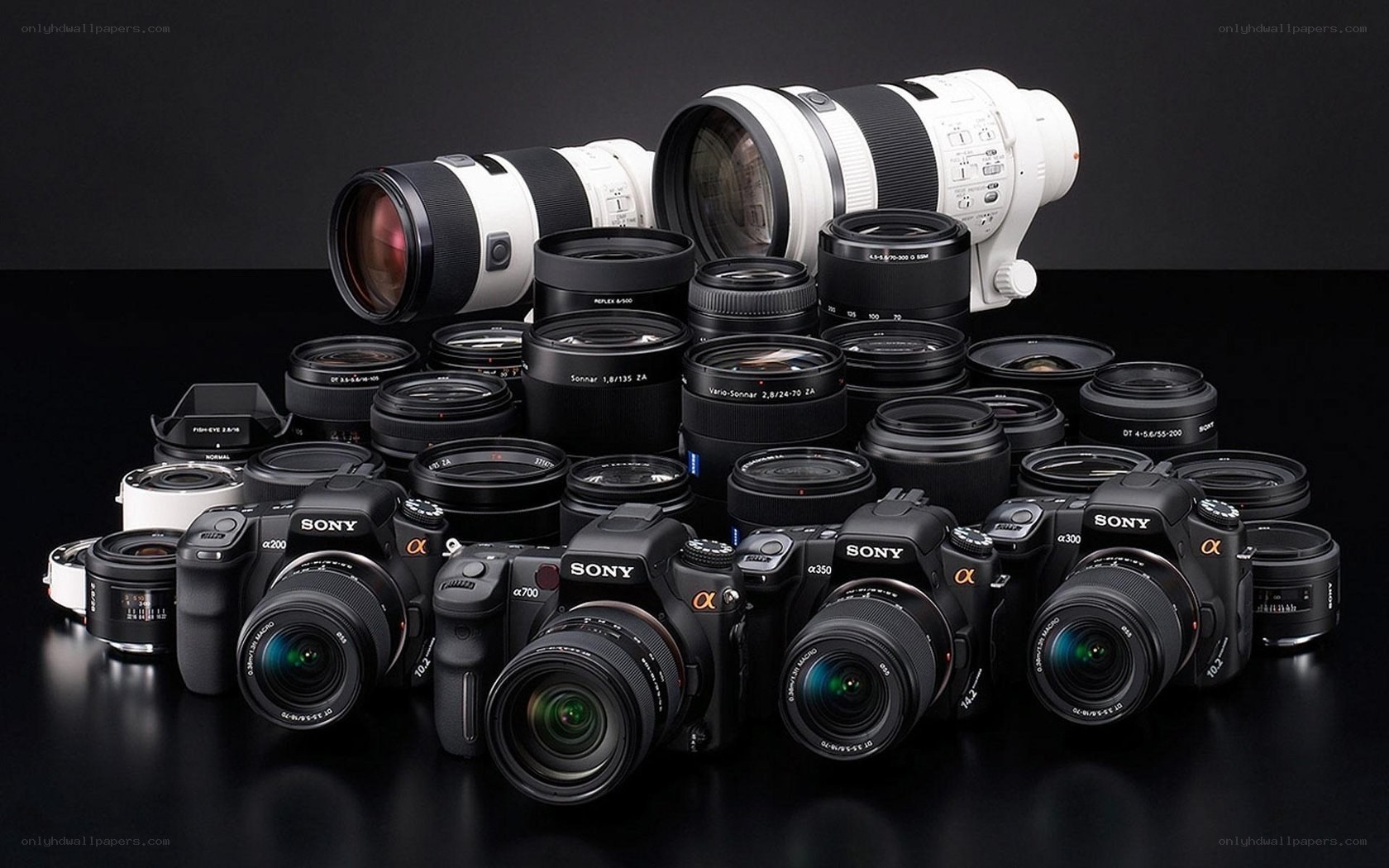 Sony Alpha camera collection