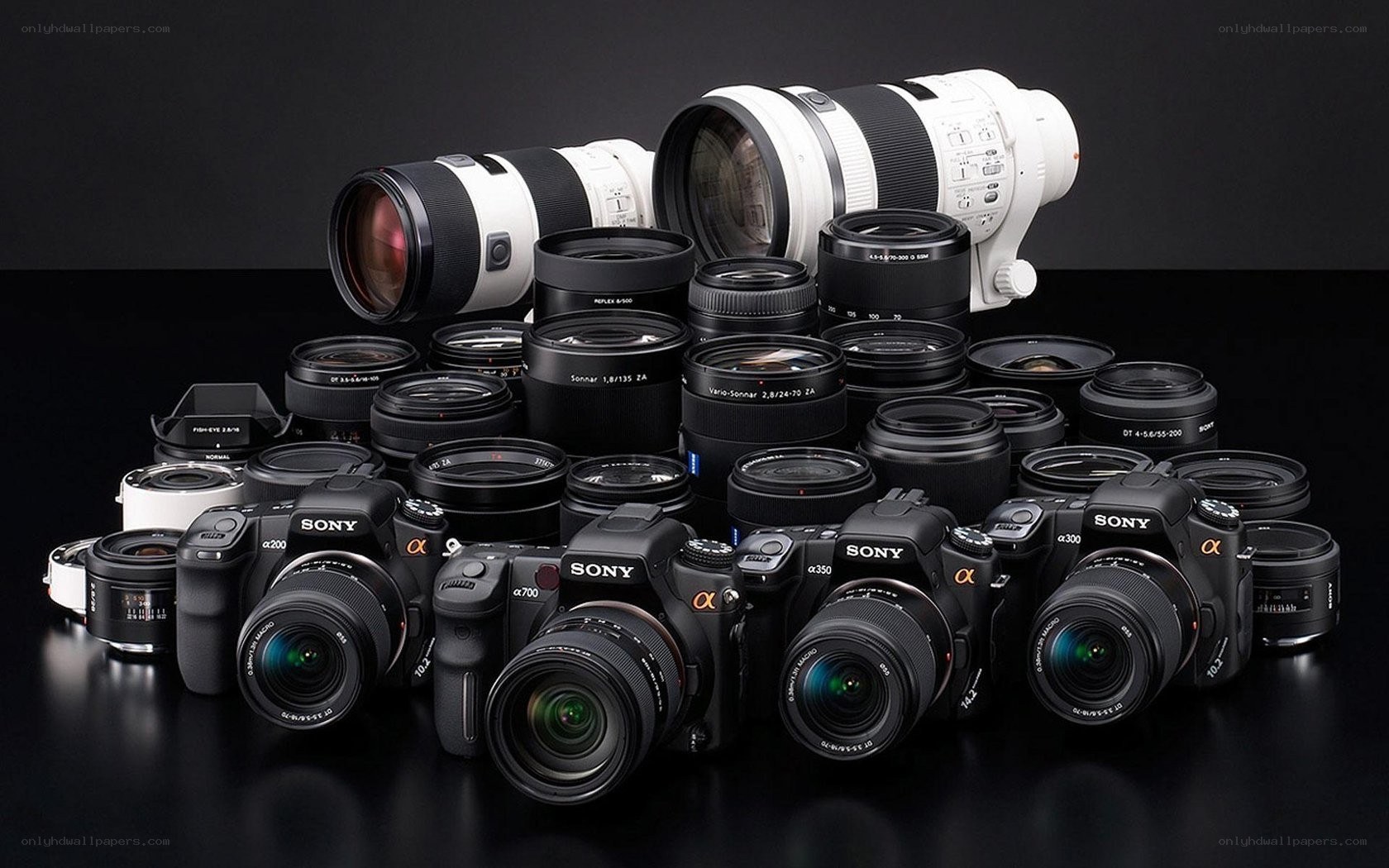 Sony Alpha camera collection