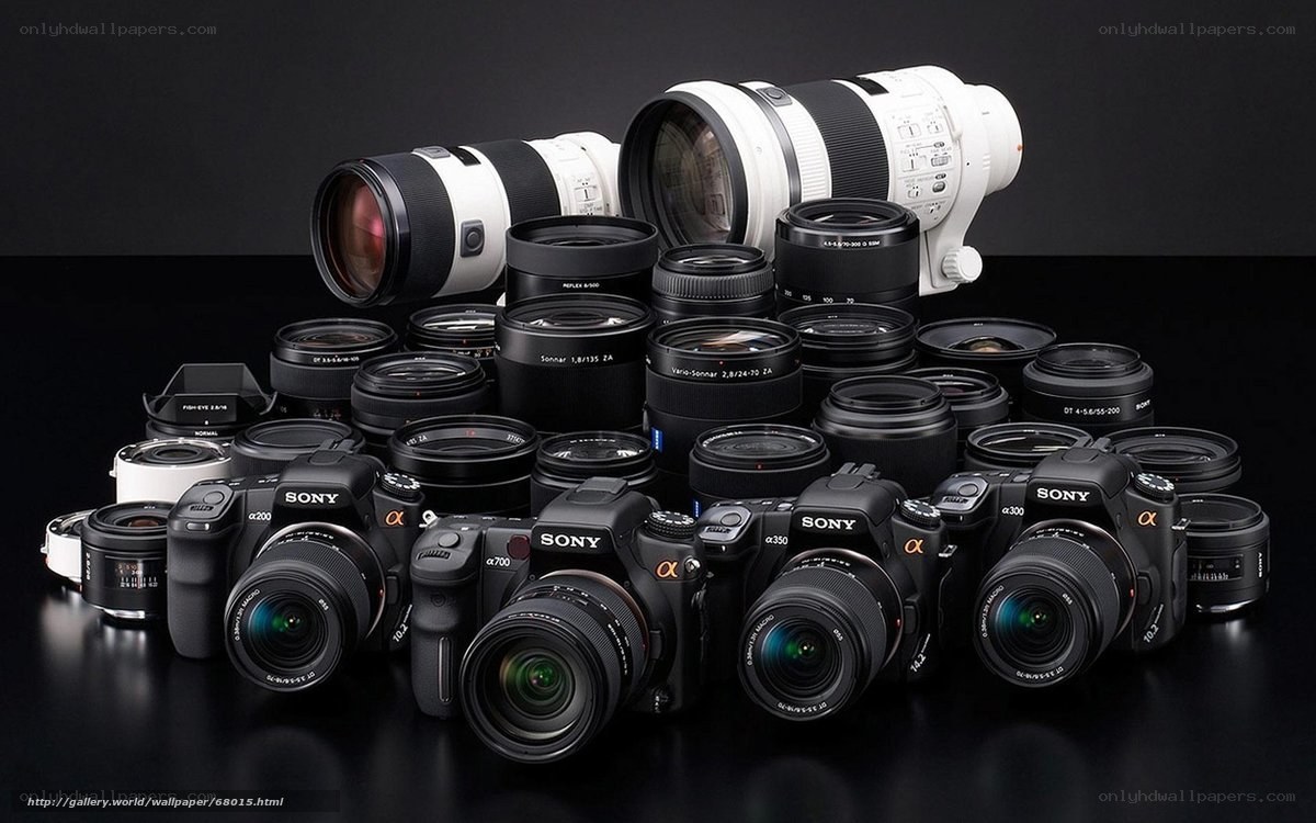 Sony Alpha camera collection